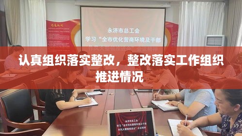 认真组织落实整改，整改落实工作组织推进情况 