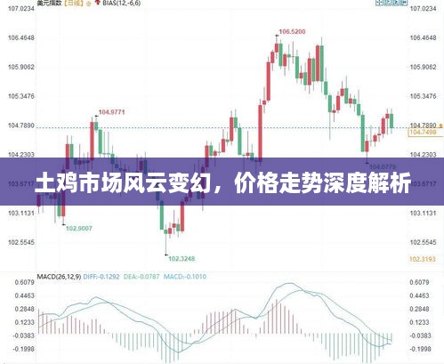 土鸡市场风云变幻，价格走势深度解析