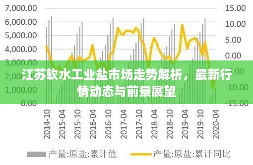 江苏软水工业盐市场走势解析，最新行情动态与前景展望