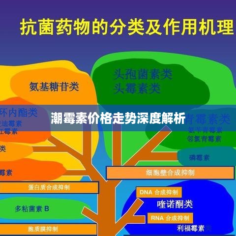 潮霉素价格走势深度解析