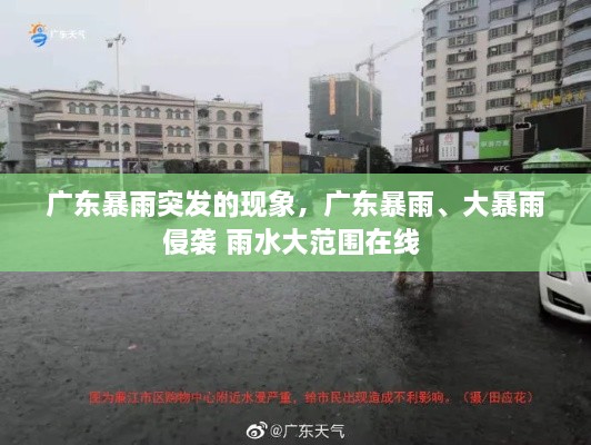 广东暴雨突发的现象，广东暴雨、大暴雨侵袭 雨水大范围在线 