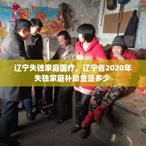 辽宁失独家庭医疗，辽宁省2020年失独家庭补助金是多少 