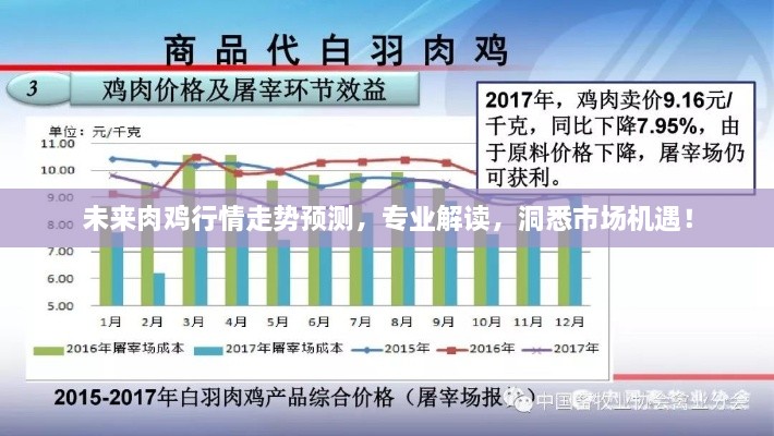 未来肉鸡行情走势预测，专业解读，洞悉市场机遇！