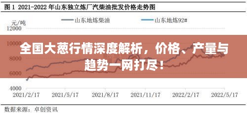 全国大葱行情深度解析，价格、产量与趋势一网打尽！