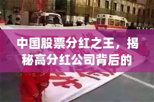 中国股票分红之王，揭秘高分红公司背后的故事