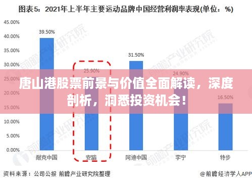 唐山港股票前景与价值全面解读，深度剖析，洞悉投资机会！