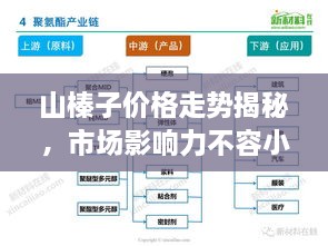 山榛子价格走势揭秘，市场影响力不容小觑