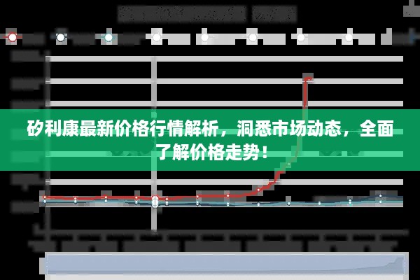 矽利康最新价格行情解析，洞悉市场动态，全面了解价格走势！