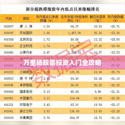 万里扬股票投资入门全攻略