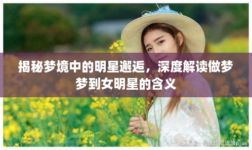 揭秘梦境中的明星邂逅，深度解读做梦梦到女明星的含义