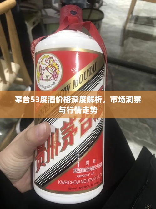 茅台53度酒价格深度解析，市场洞察与行情走势