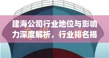 建海公司行业地位与影响力深度解析，行业排名揭示其龙头地位