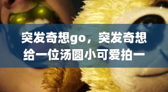 突发奇想go，突发奇想给一位汤圆小可爱拍一张相纸 