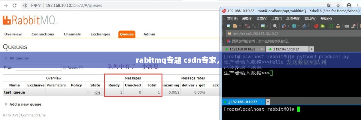 rabitmq专题 csdn专家， 