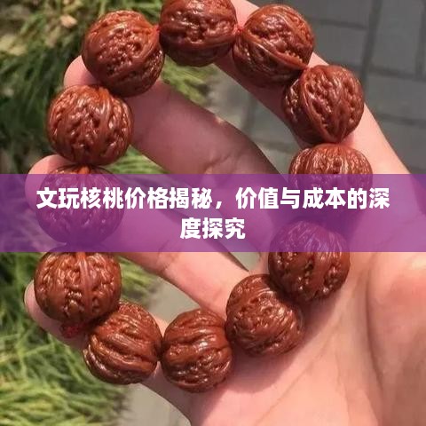 文玩核桃价格揭秘，价值与成本的深度探究