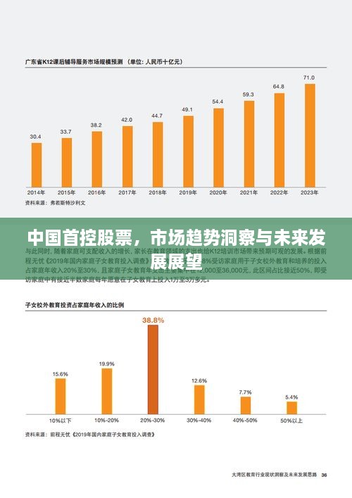 中国首控股票，市场趋势洞察与未来发展展望