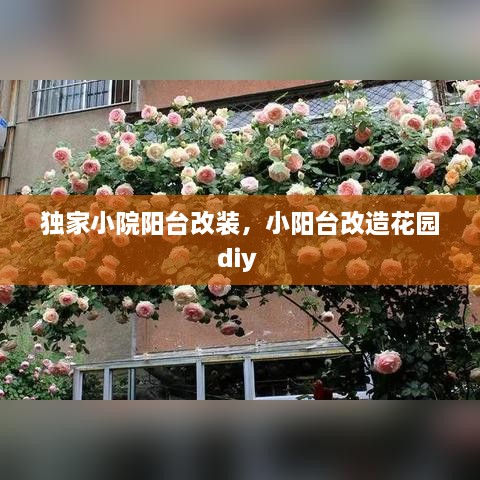 独家小院阳台改装，小阳台改造花园diy 