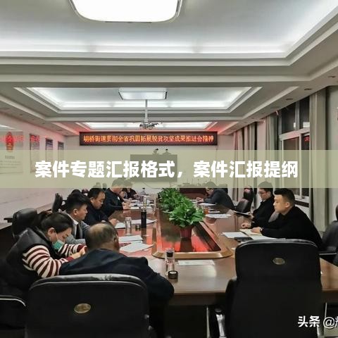 案件专题汇报格式，案件汇报提纲 