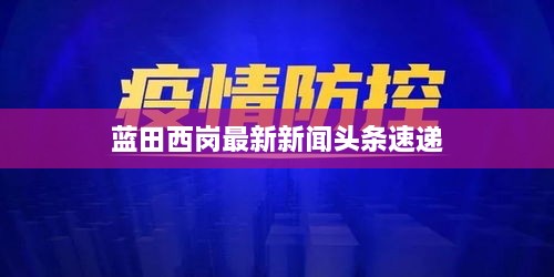 蓝田西岗最新新闻头条速递