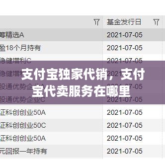 支付宝独家代销，支付宝代卖服务在哪里 