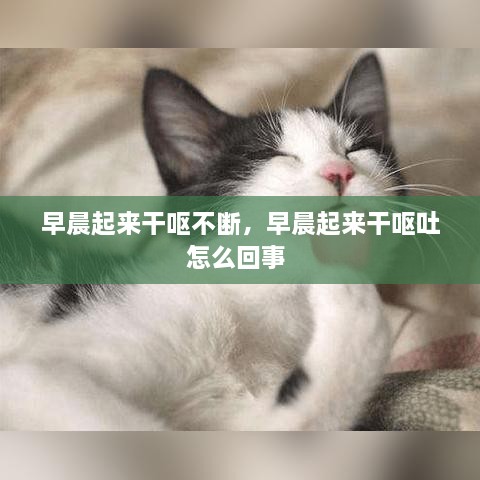 早晨起来干呕不断，早晨起来干呕吐怎么回事 