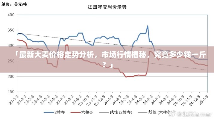 「最新大麦价格走势分析，市场行情揭秘，究竟多少钱一斤？」