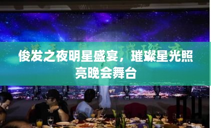 俊发之夜明星盛宴，璀璨星光照亮晚会舞台