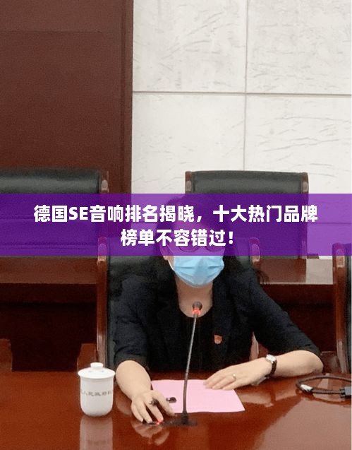 德国SE音响排名揭晓，十大热门品牌榜单不容错过！