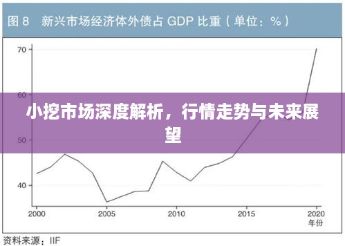 小挖市场深度解析，行情走势与未来展望