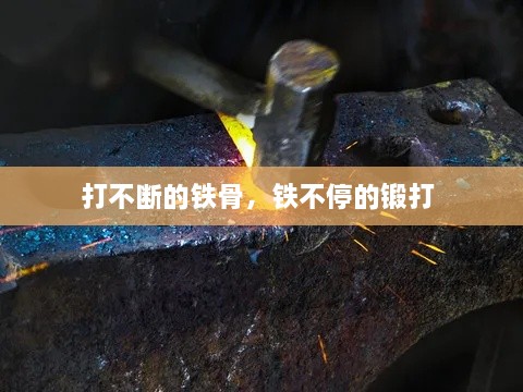 打不断的铁骨，铁不停的锻打 