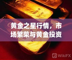 黄金之星行情，市场繁荣与黄金投资机遇揭秘