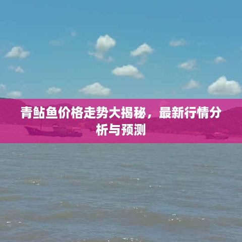 青鲇鱼价格走势大揭秘，最新行情分析与预测