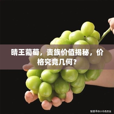 晴王葡萄，贵族价值揭秘，价格究竟几何？