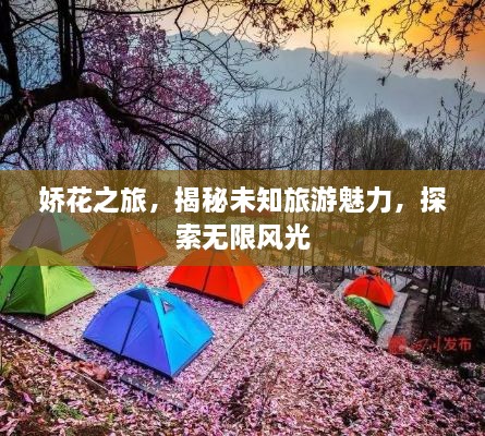 娇花之旅，揭秘未知旅游魅力，探索无限风光