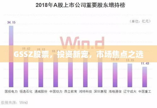 GSSZ股票，投资新宠，市场焦点之选