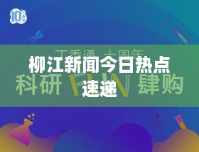 柳江新闻今日热点速递