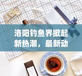 洛阳钓鱼界掀起新热潮，最新动态一网打尽