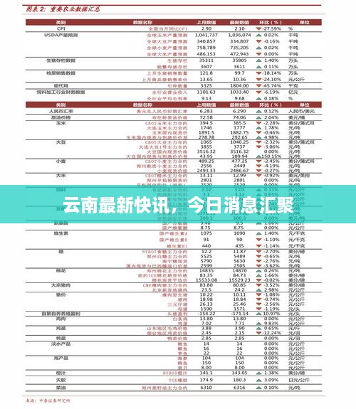 云南最新快讯，今日消息汇聚