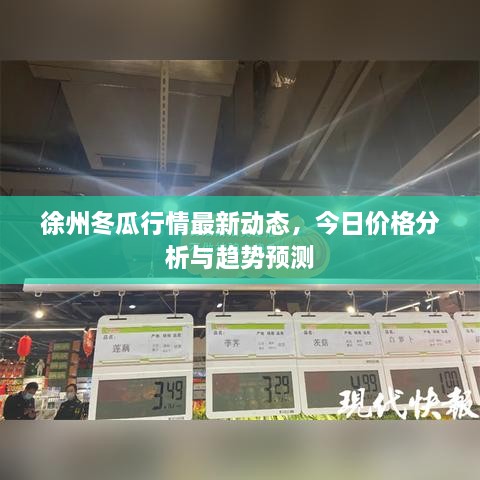 徐州冬瓜行情最新动态，今日价格分析与趋势预测