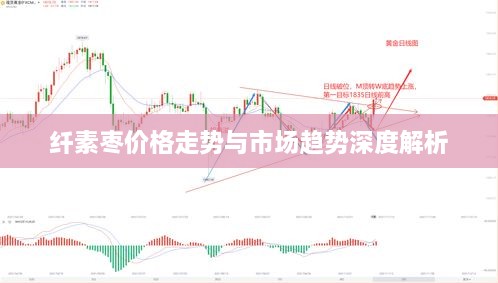 纤素枣价格走势与市场趋势深度解析