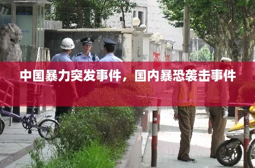 中国暴力突发事件，国内暴恐袭击事件 