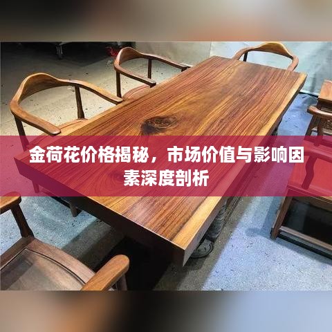 金荷花价格揭秘，市场价值与影响因素深度剖析