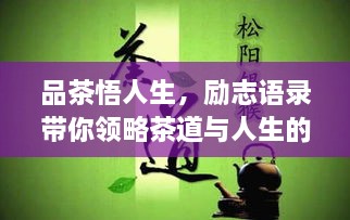 品茶悟人生，励志语录带你领略茶道与人生的真谛