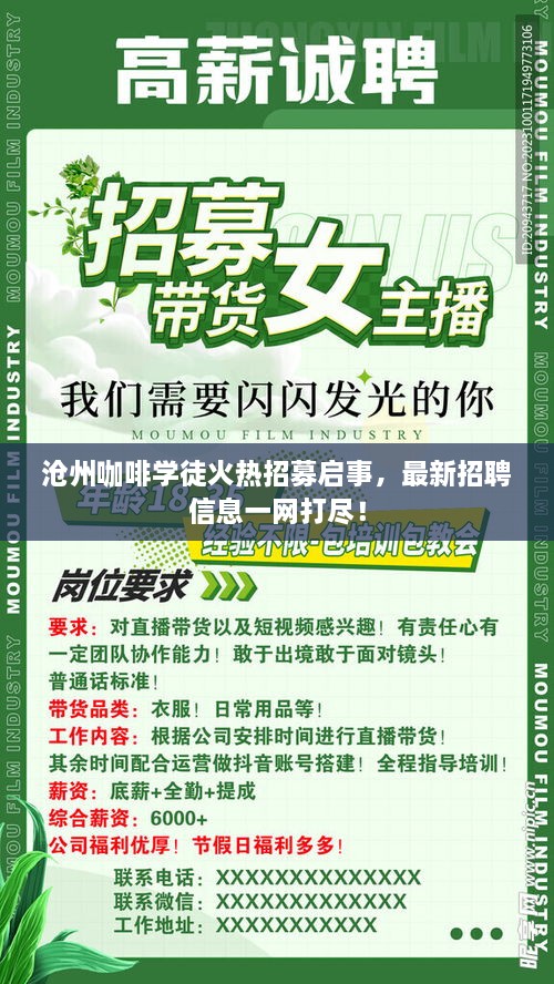 沧州咖啡学徒火热招募启事，最新招聘信息一网打尽！