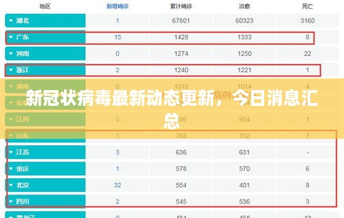 新冠状病毒最新动态更新，今日消息汇总