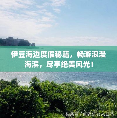 伊豆海边度假秘籍，畅游浪漫海滨，尽享绝美风光！