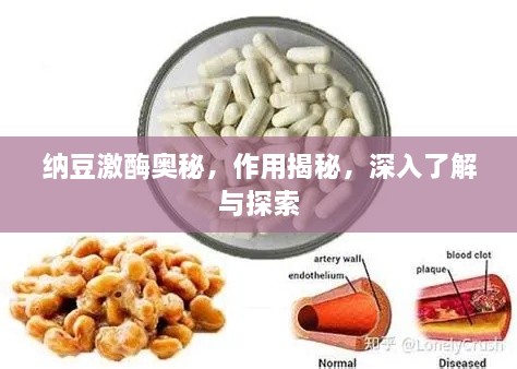 纳豆激酶奥秘，作用揭秘，深入了解与探索