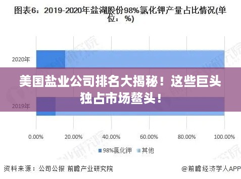 美国盐业公司排名大揭秘！这些巨头独占市场鳌头！