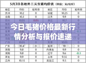 今日毛猪价格最新行情分析与报价速递