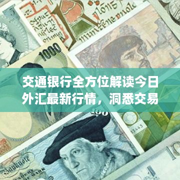 交通银行全方位解读今日外汇最新行情，洞悉交易走势